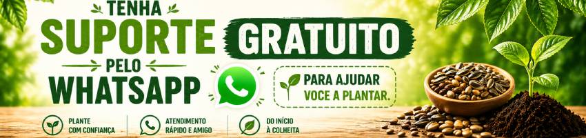 Suporte Via Whatsapp