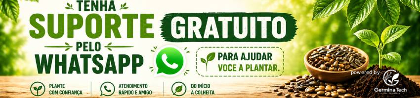 Suporte Whatsapp