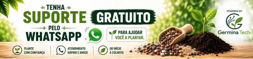 Suporte Whatsapp