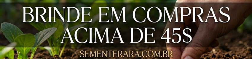 Brinde Sementes Compras Acima de $45