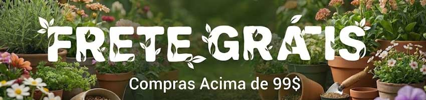 Sementes Frete Grátis Comprando 99$
