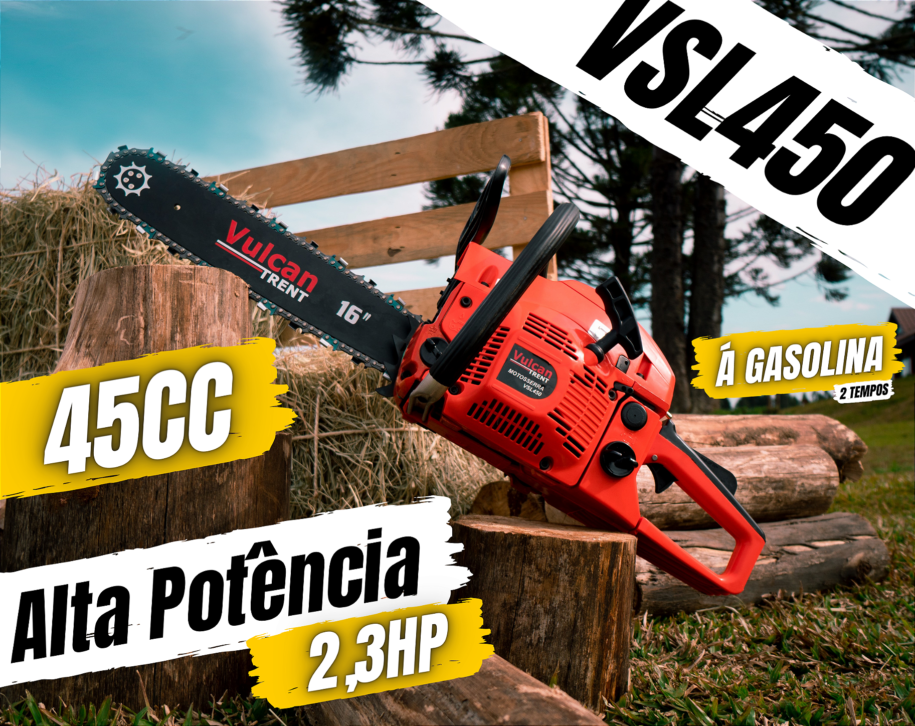 Corpo Banner VSL450.png (1825×1448)