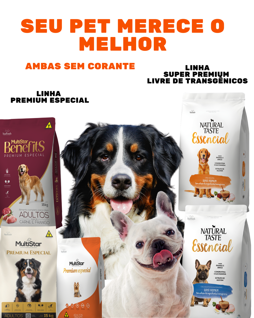 Produto 1 Dog Star Foods