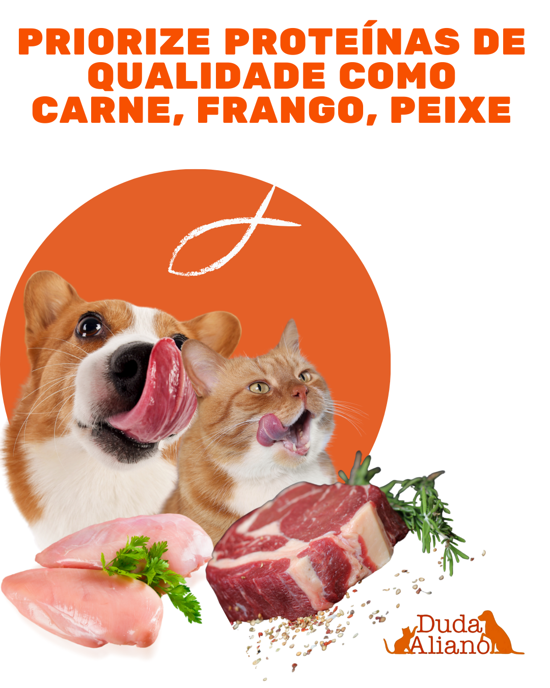 Produto 2
