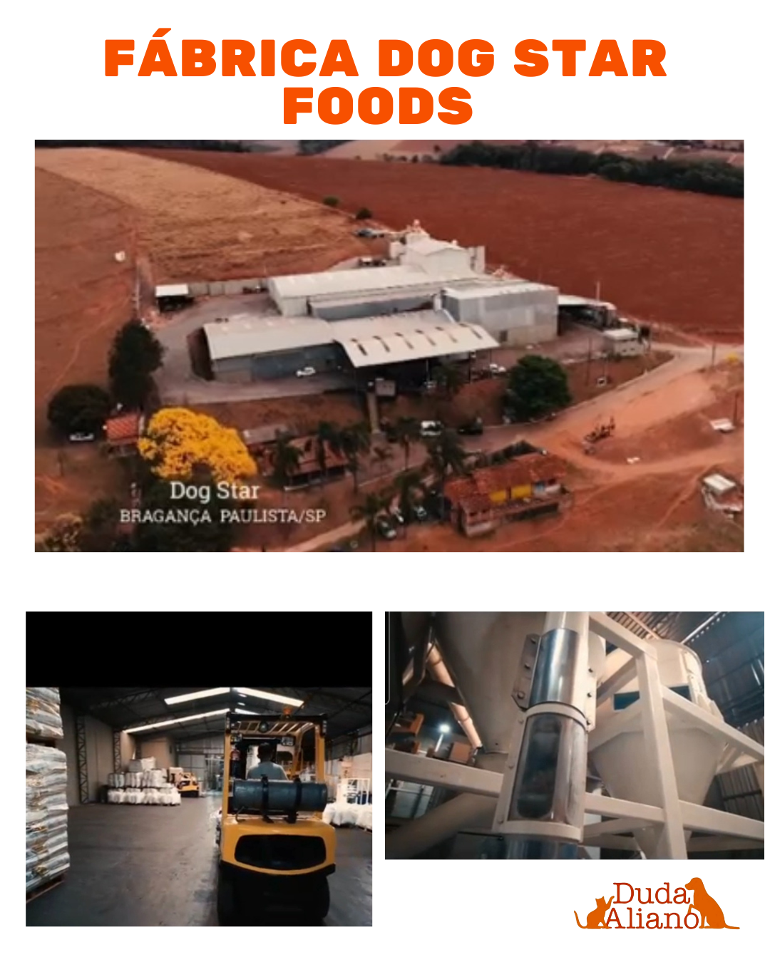 Fábrica Dogstar Foods