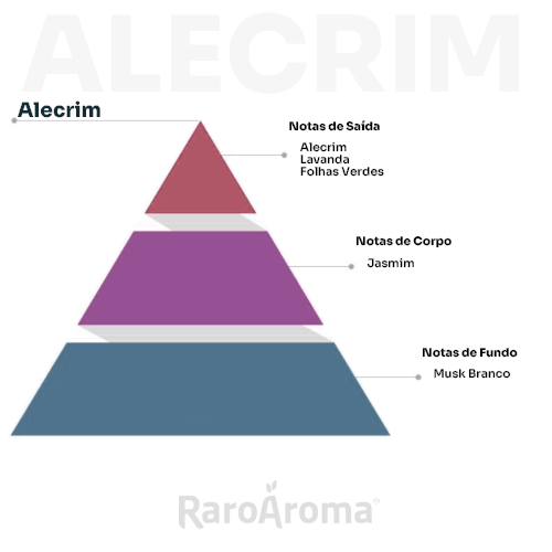 piramide olfativa fragrância Alecrim