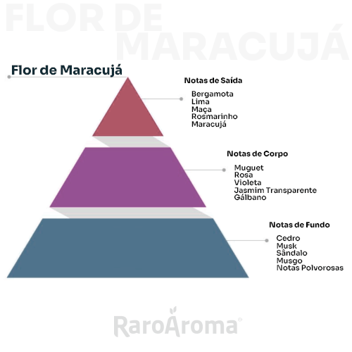 piramide olfativa fragrância Alecrim