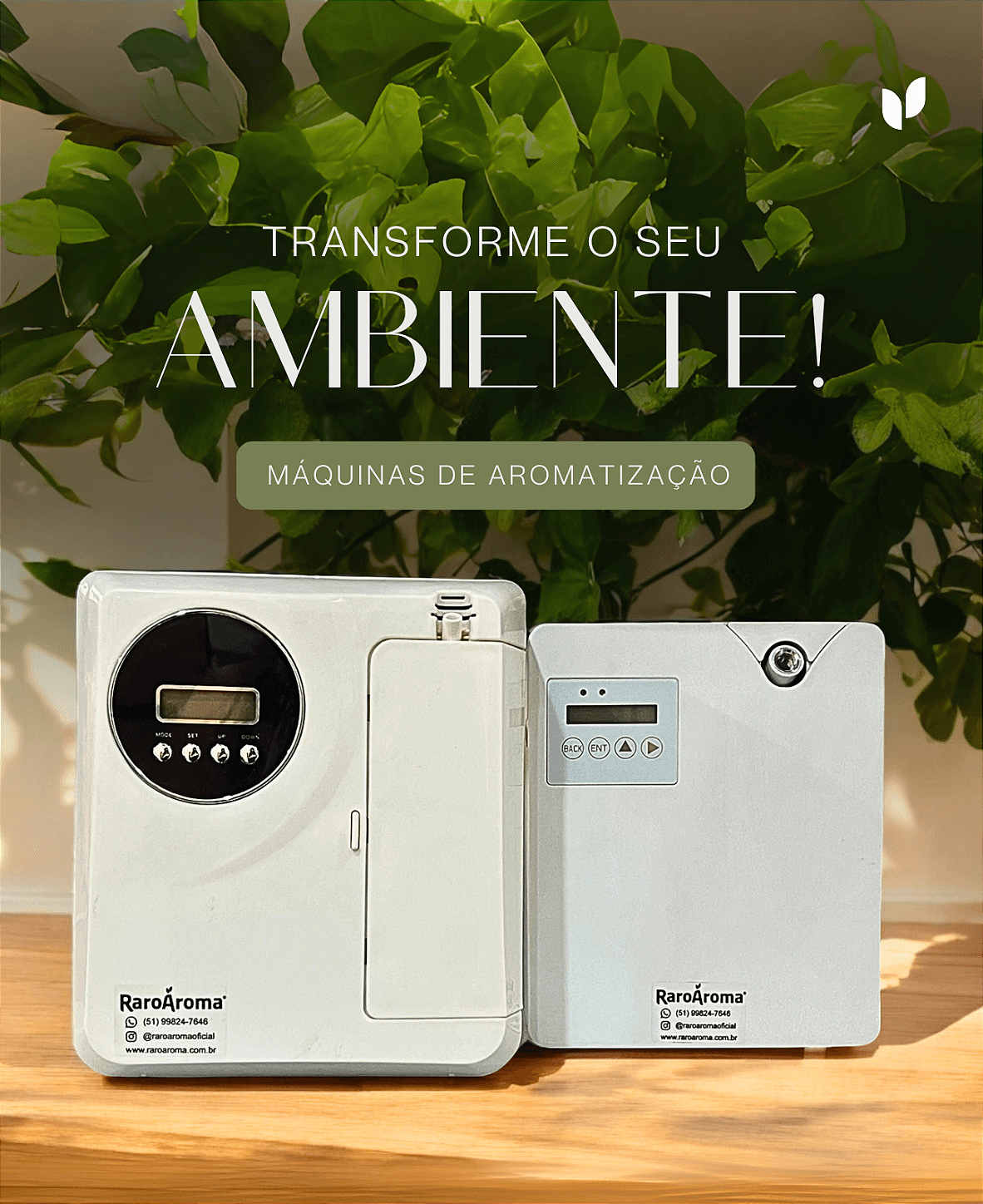 Loja Raro Aroma