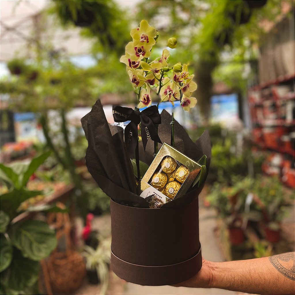 Box Orquídea (Amarela) M + Bombom - pitanga floricultura