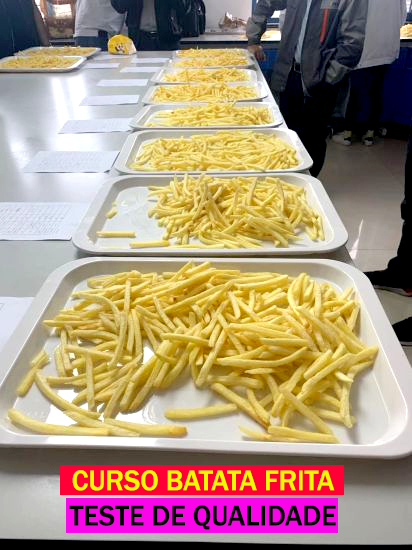 Testes: Batatas Fritas na AirFryer