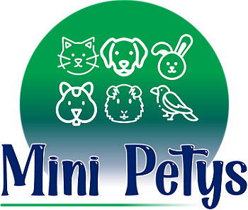 Mini Petys Agropecuária