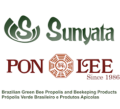 Pon Lee