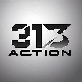 313