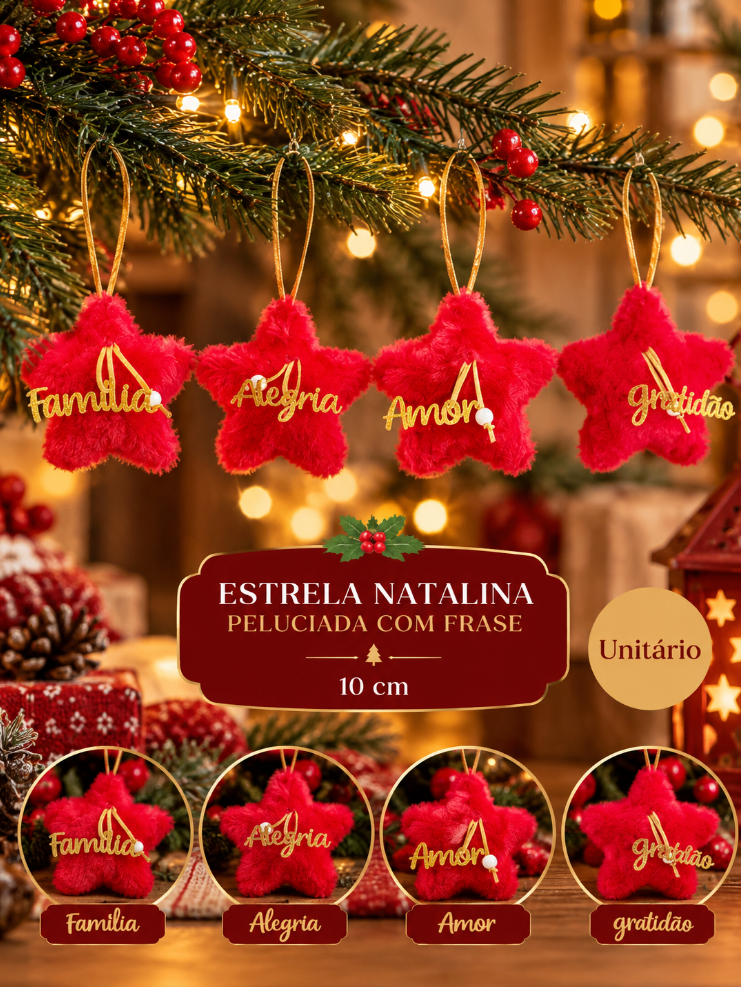 ENFEITE DECORATIVO DE NATAL PELUCIADO ESTRELA FRASES 10CM UNITÁRIO - MULTIART