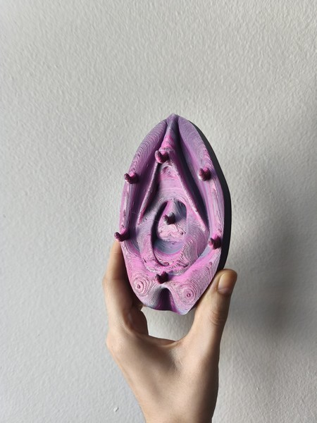 Suporte de Chaves Vulvárias Vulva