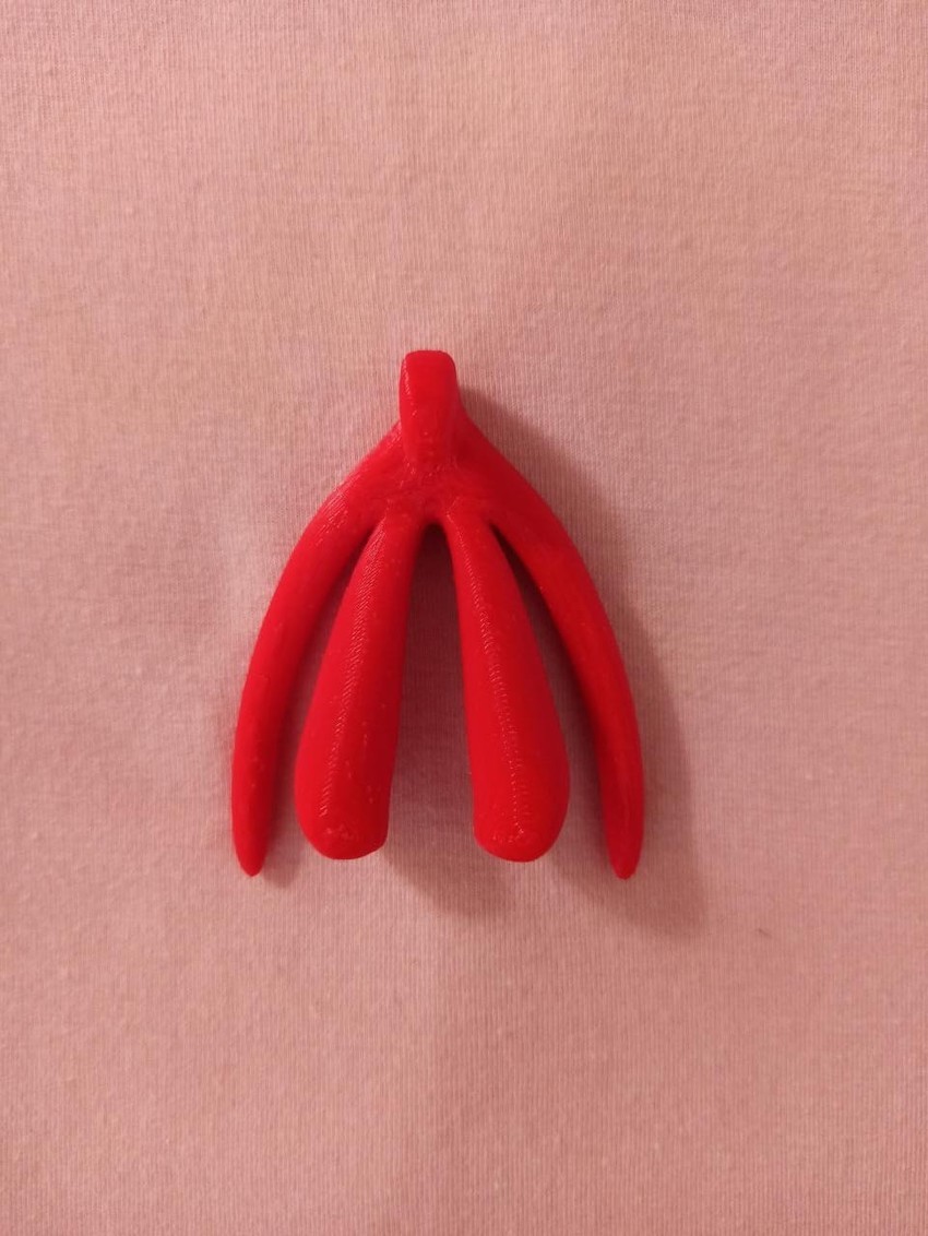 Clitóris Tamanho Real 3D - Modelo Anatômico Estrutura Interna