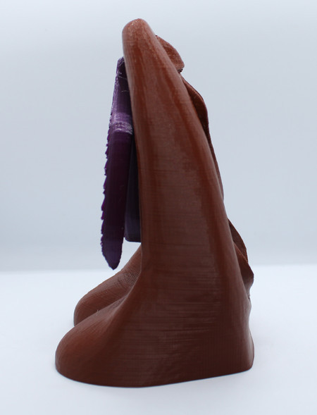 Vulva Educativa Grande Modelo Anatômico 3D