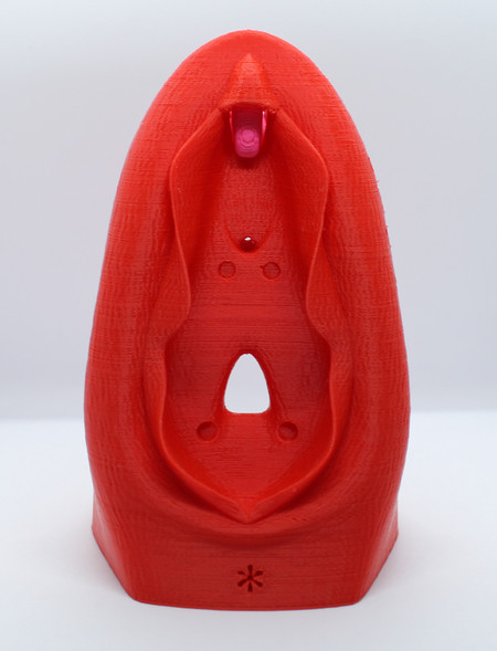 Vulva Educativa Grande Modelo Anatômico 3D
