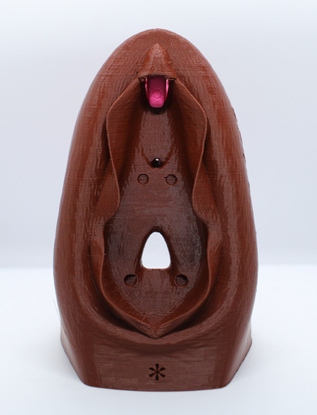 Vulva Educativa Grande Modelo Anatômico 3D