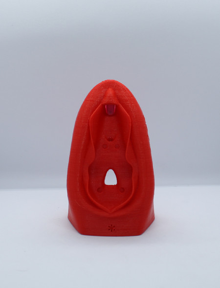 Vulva Educativa Pequena Modelo Anatômico 3D