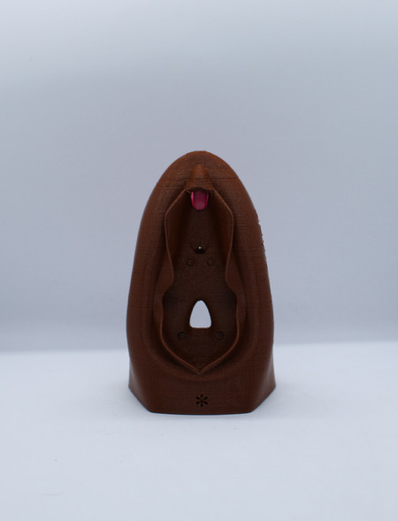 Vulva Educativa Pequena Modelo Anatômico 3D