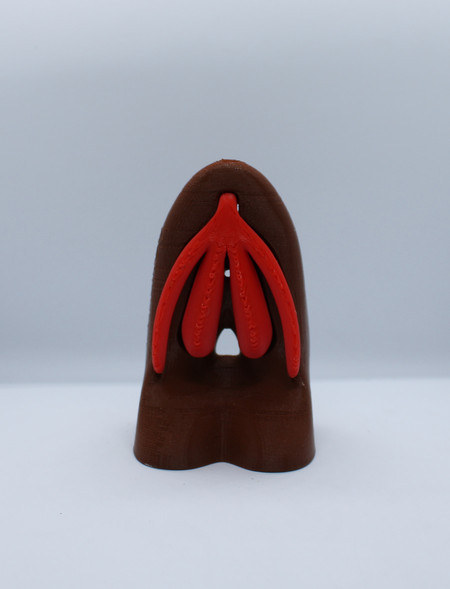 Vulva Educativa Pequena Modelo Anatômico 3D