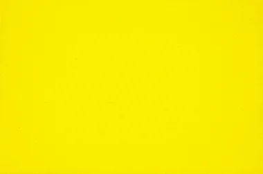 04.p. Pigmento AMARELO DE CADMIO LIMAO Joules & Joules