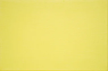 03.p. Pigmento AMARELO DE NÍQUEL Joules & Joules