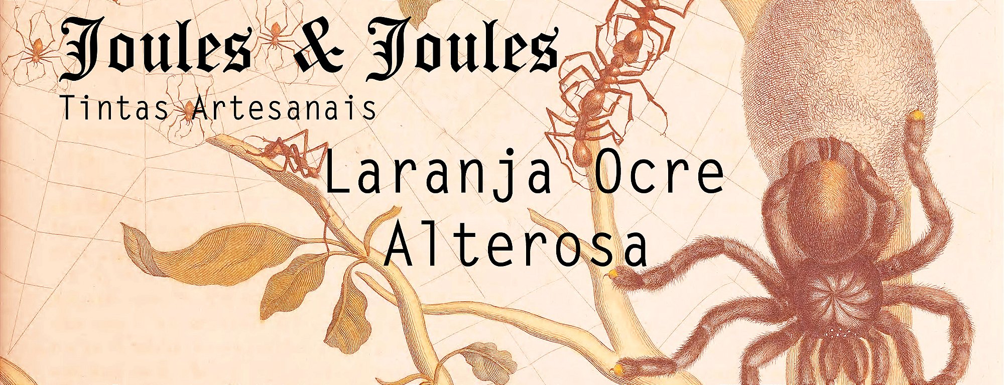 48.t. Tinta a Óleo LARANJA OCRE ALTEROSA - PY43 Joules & Joules