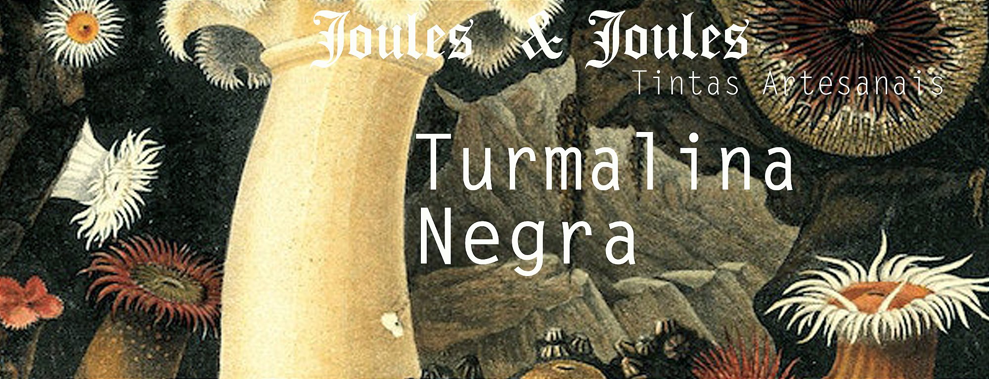 55.t. Tinta a Óleo TURMALINA NEGRA Joules & Joules
