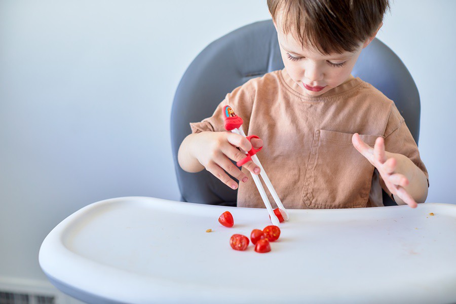 Hashi Infantil Para Treinamento Kids Leão Vermelho - Marcus & Marcus