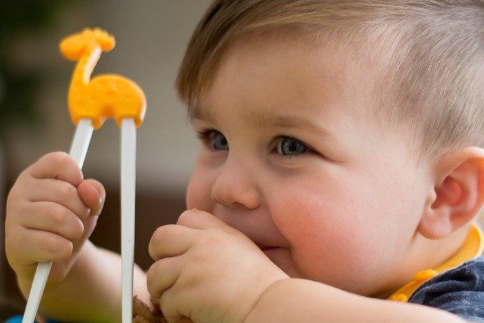 Hashi Infantil de Treinamento Porquinha - Marcus & Marcus