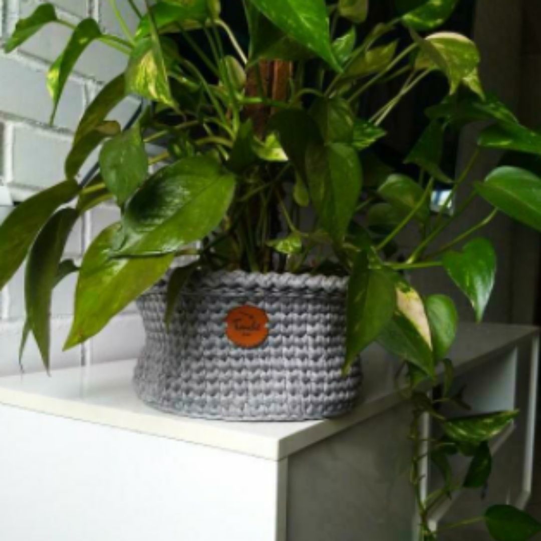 Cachepô para plantas