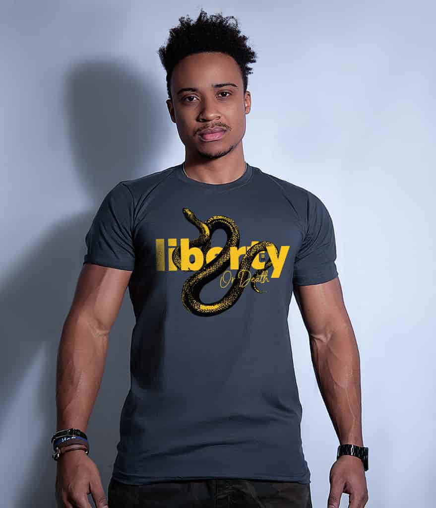 Kit 4 Camisetas Masculinas Liberty Mamba Negra Team Six