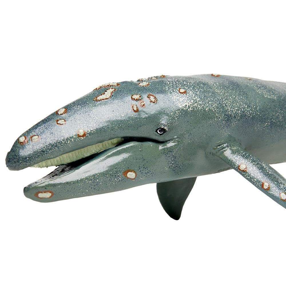 Figura Baleia Cinza Safari Ltd.