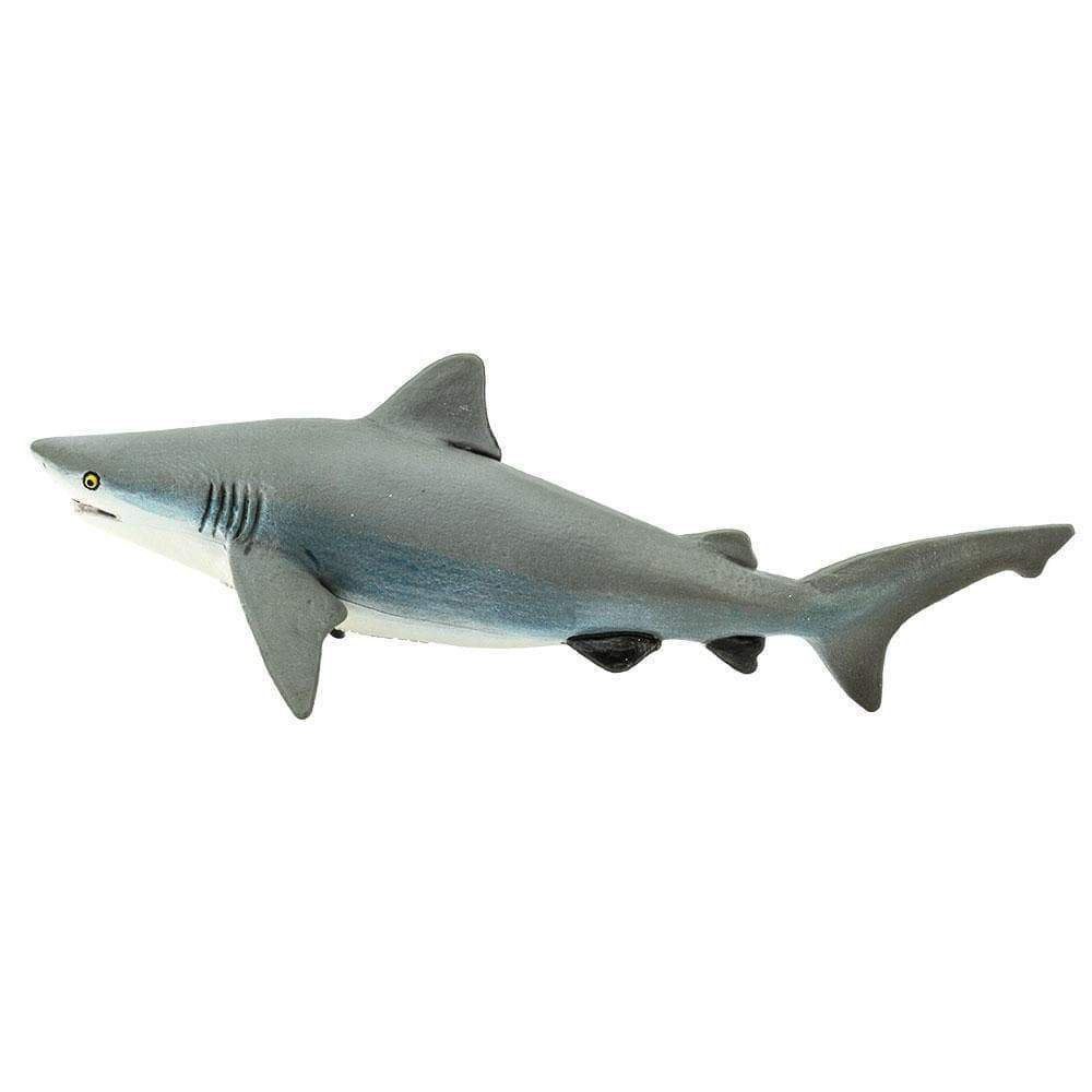 Figura Tubarão Cabeça Chata (Bull Shark) Safari Ltd.