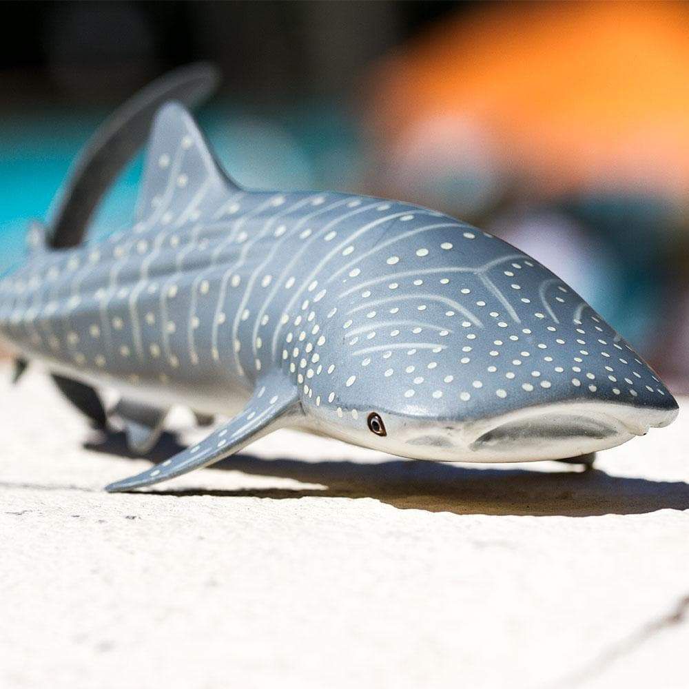 Figura Tubarão Baleia Safari Ltd.