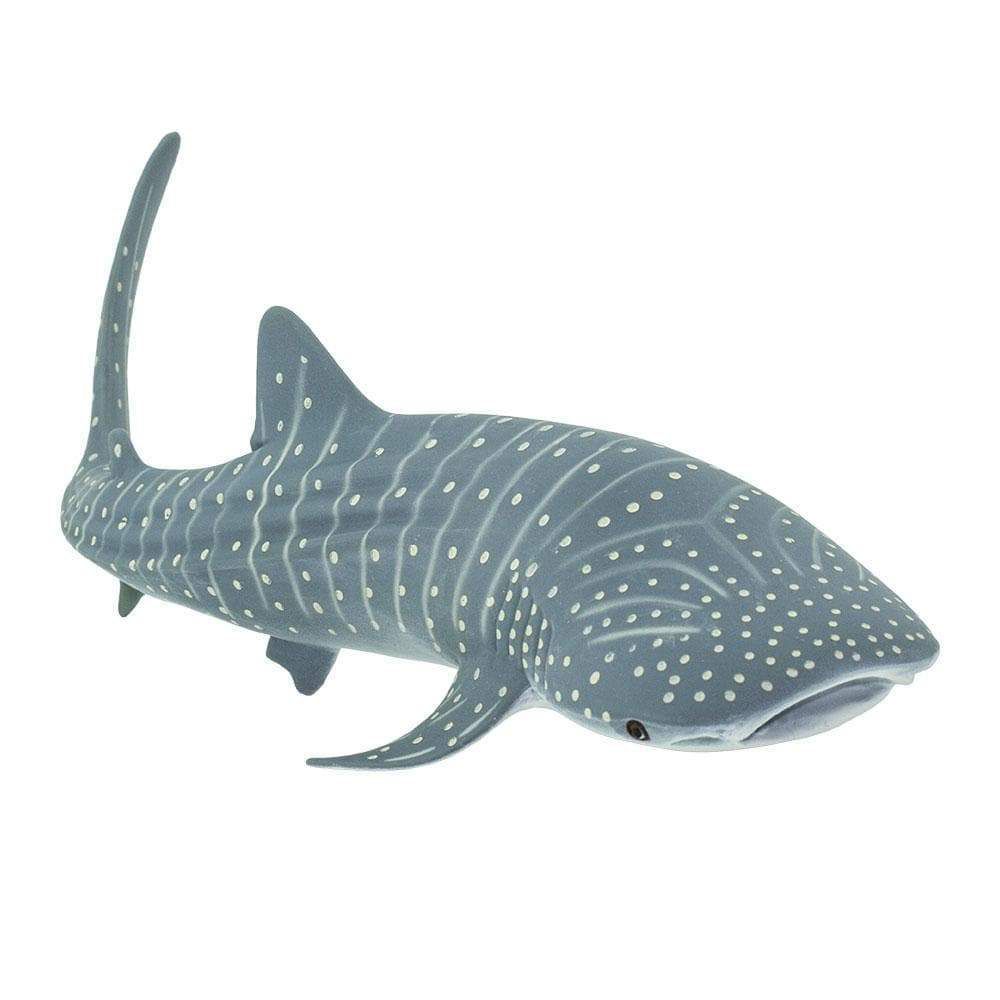 Figura Tubarão Baleia Safari Ltd.