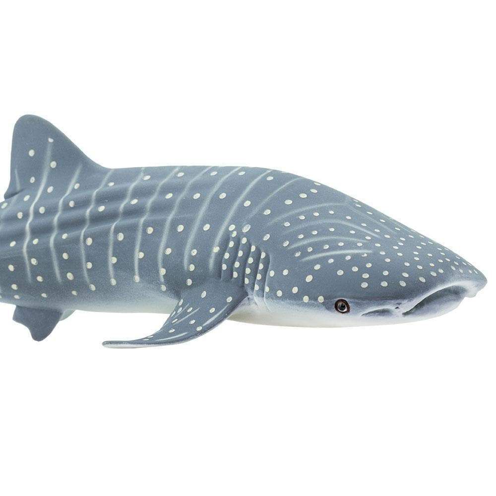 Figura Tubarão Baleia Safari Ltd.