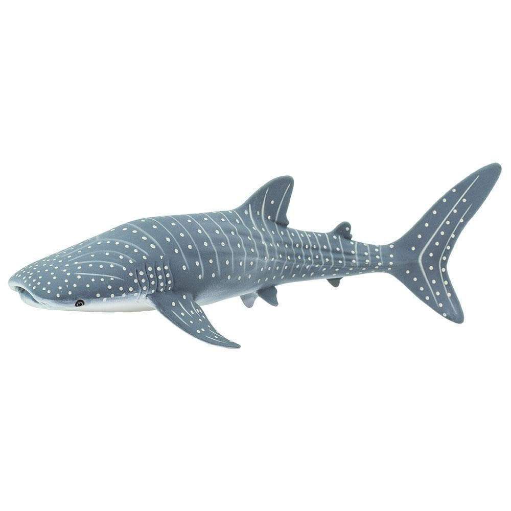 Figura Tubarão Baleia Safari Ltd.