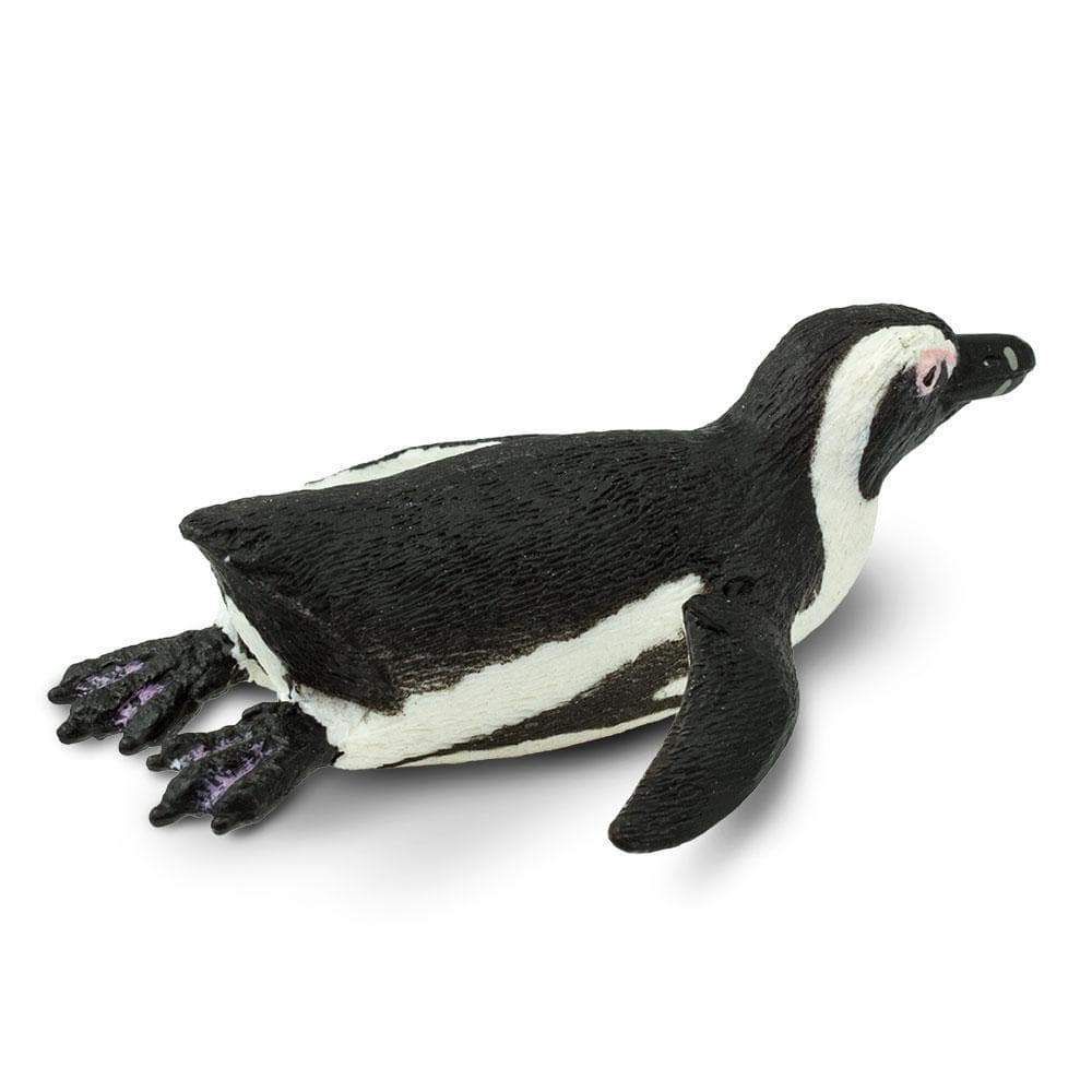 Figura Pinguim Sul Africano Safari Ltd.