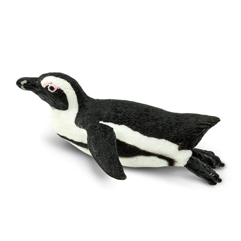 Figura Pinguim Sul Africano Safari Ltd.