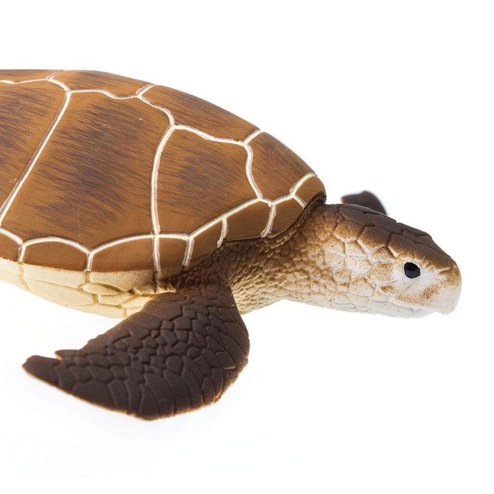 Figura Tartaruga Verde Safari Ltd.