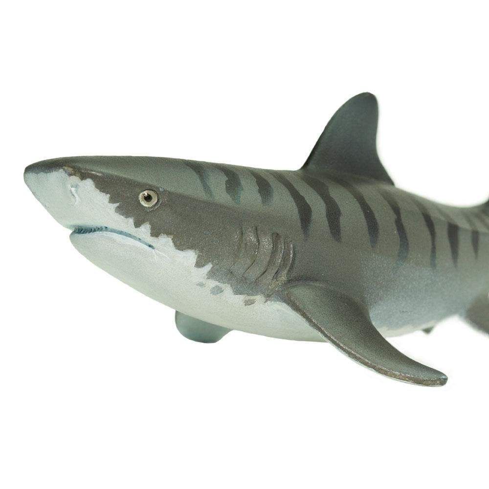 Figura Tubarão Tigre Safari Ltd.