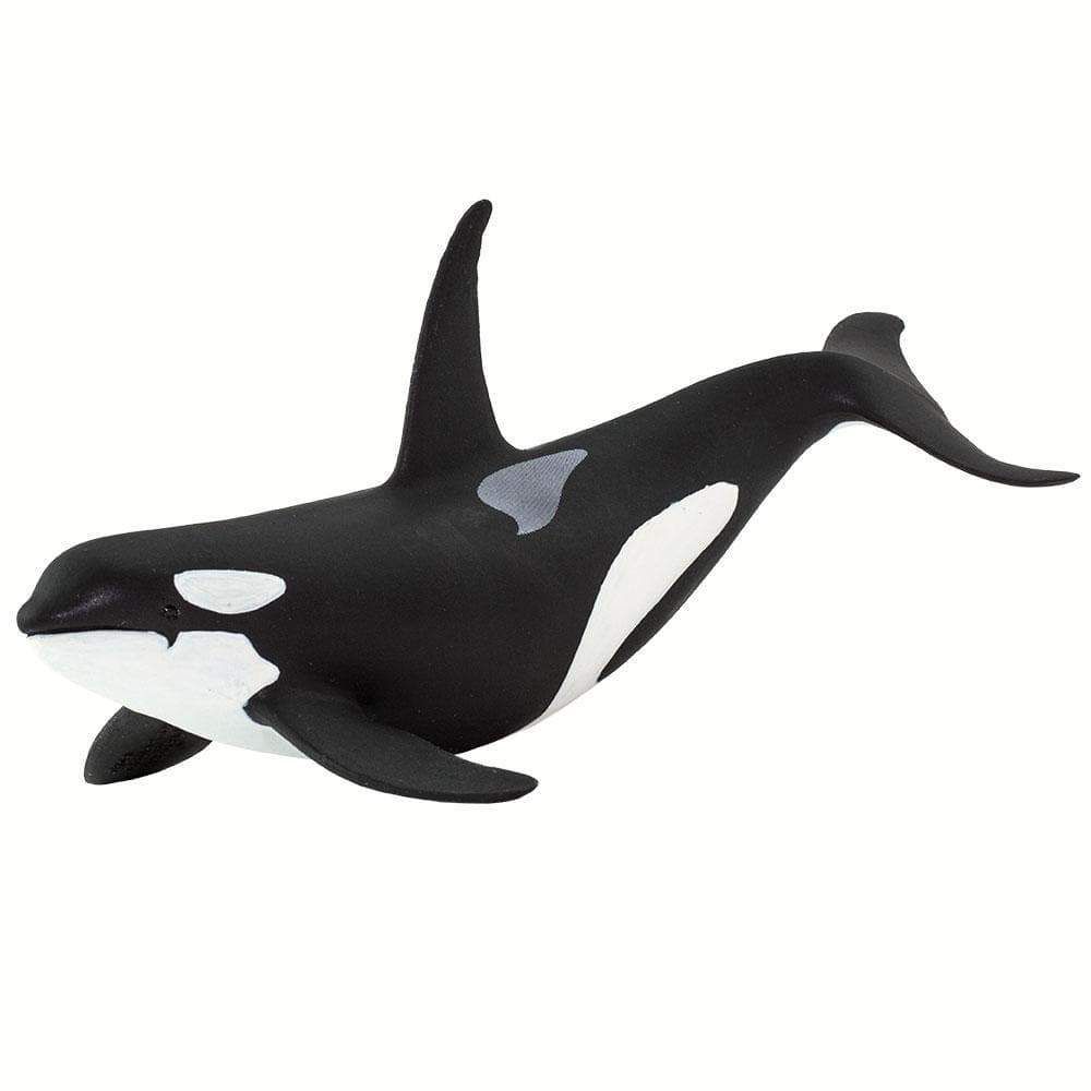 Figura Baleia Orca Safari Ltd.