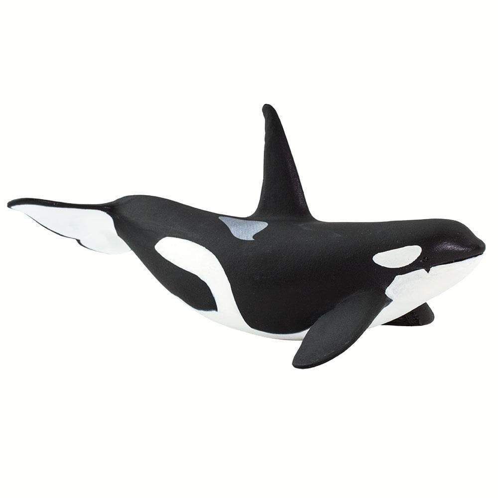 Figura Baleia Orca Safari Ltd.