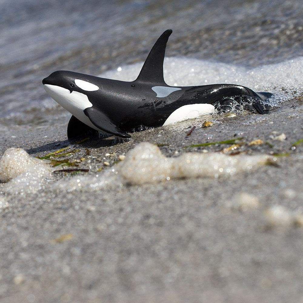 Figura Baleia Orca Safari Ltd.