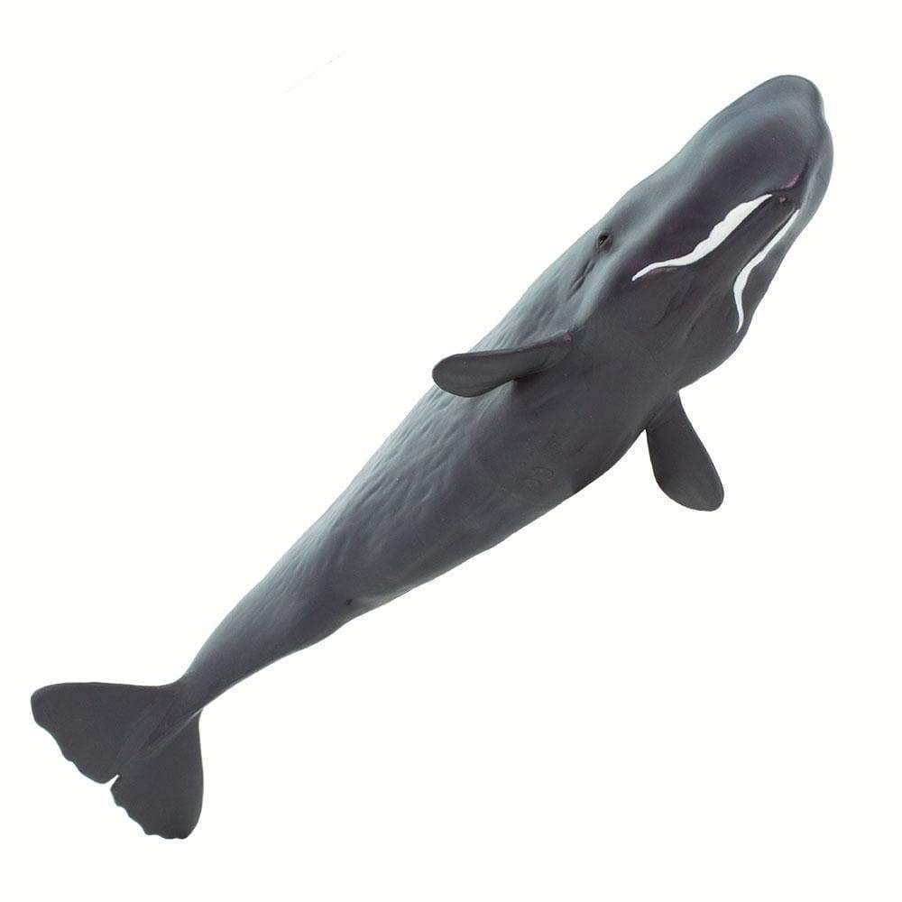 Figura Cachalote (Sperm Whale) Safari Ltd.