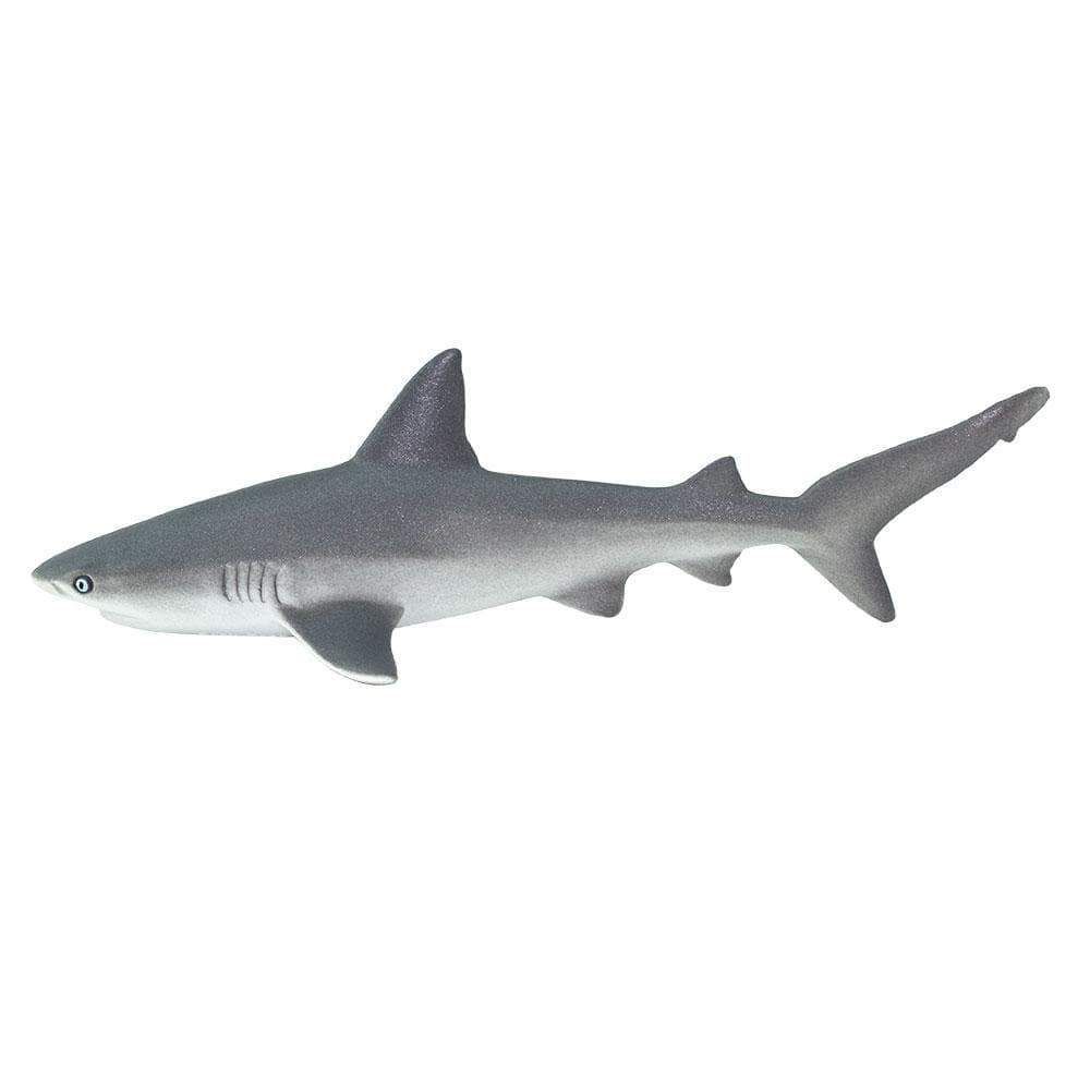 Figura Tubarão Cinzento (Gray Reef Shark) Safari Ltd.