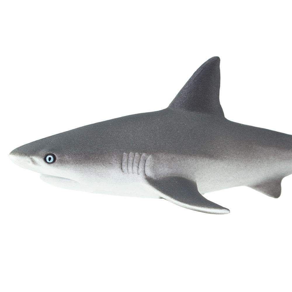 Figura Tubarão Cinzento (Gray Reef Shark) Safari Ltd.